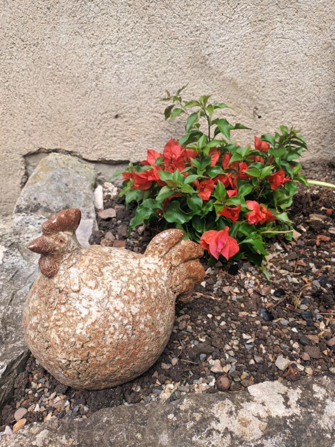 Bed and Breakfast Le Jardin Secret Saint-Antonin Exteriér fotografie